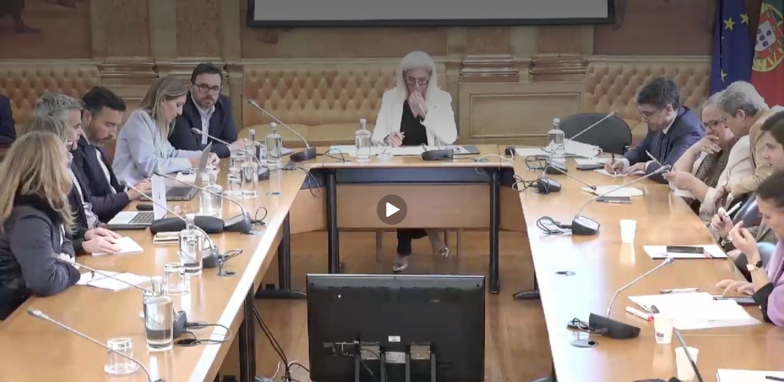 Audição CEC – Revisao ECD – 15 abril 2026